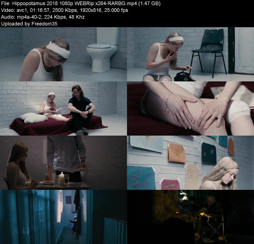 Hippopotamus-2018-1080p-WEBRip-x264-RARB