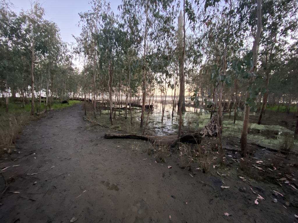 2022 (Jun) - Central (Nth) Qld Solo Trip(web) (135)