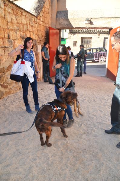 Exhibición Guardia Civil-30-9-2016 - Toledo y sus pueblos-1996/2026 (10)