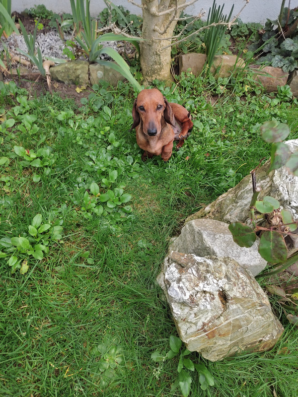 [Image: IMG-20231219-120647.jpg]