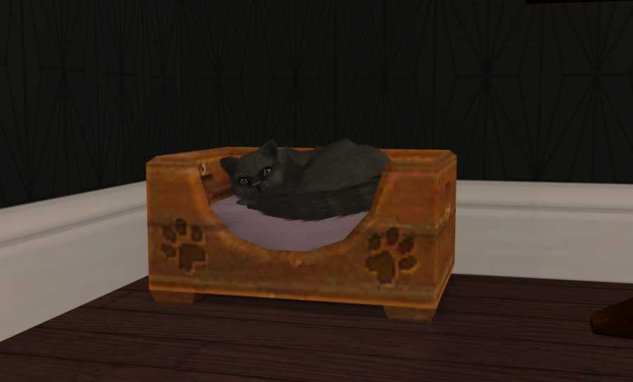 Sims2-EP9-RPC-2021-04-24-16-22-47-57