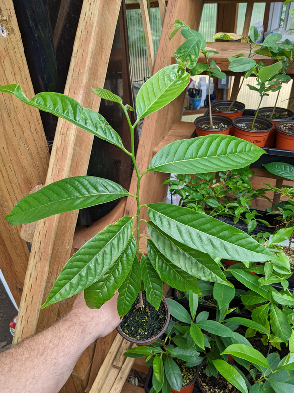 PXL_20230724_190400361