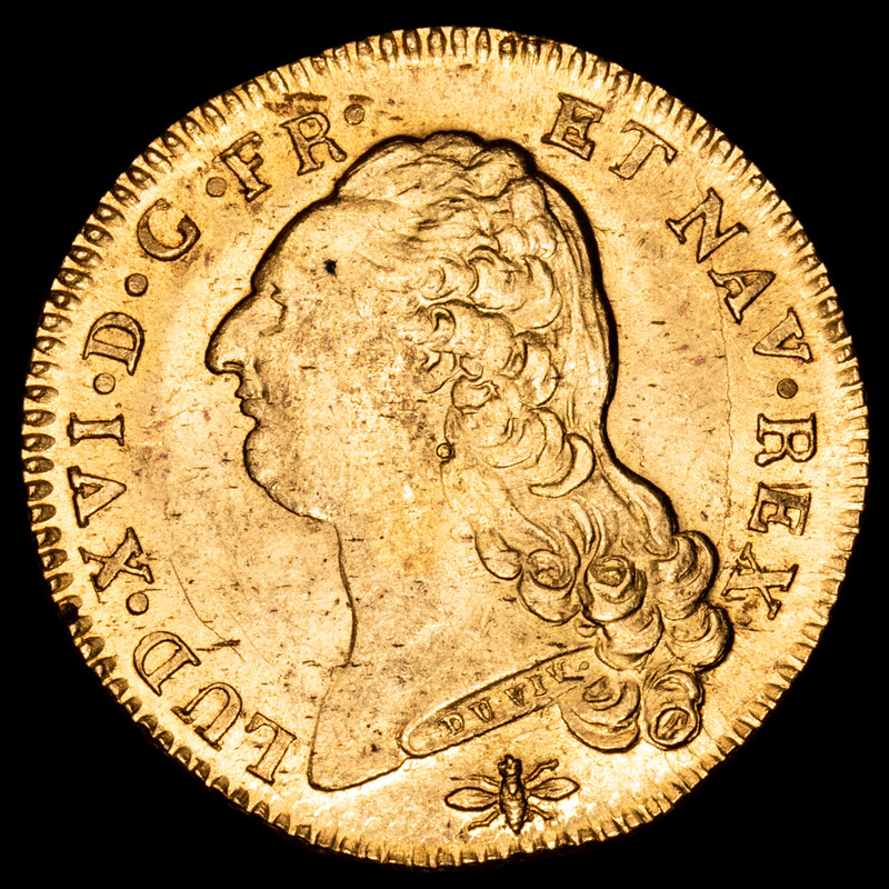 2 Louis d'or 1786 Ceca de Lyon, con "damnatio memoriae"? IMG-0308