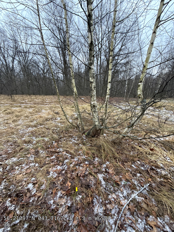 A6E8C83F BDCD 41CC 98B5 405E21FEF474 9236 0000018546080653