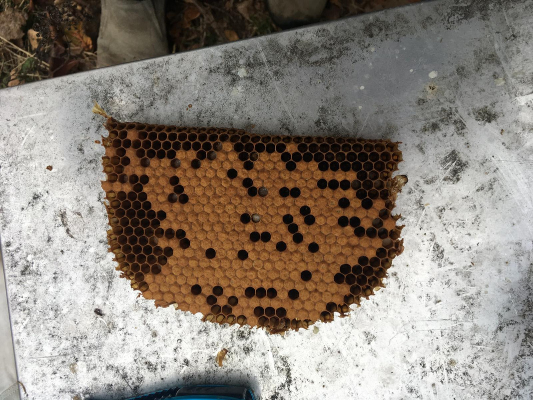 593D715B-C174-42A4-8BE4-7ABC4CCB6742