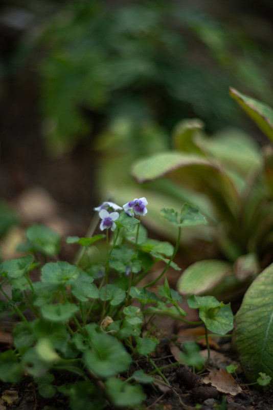 IMG-35205b77ba7bd95db0981fc61f1e2f4b-V