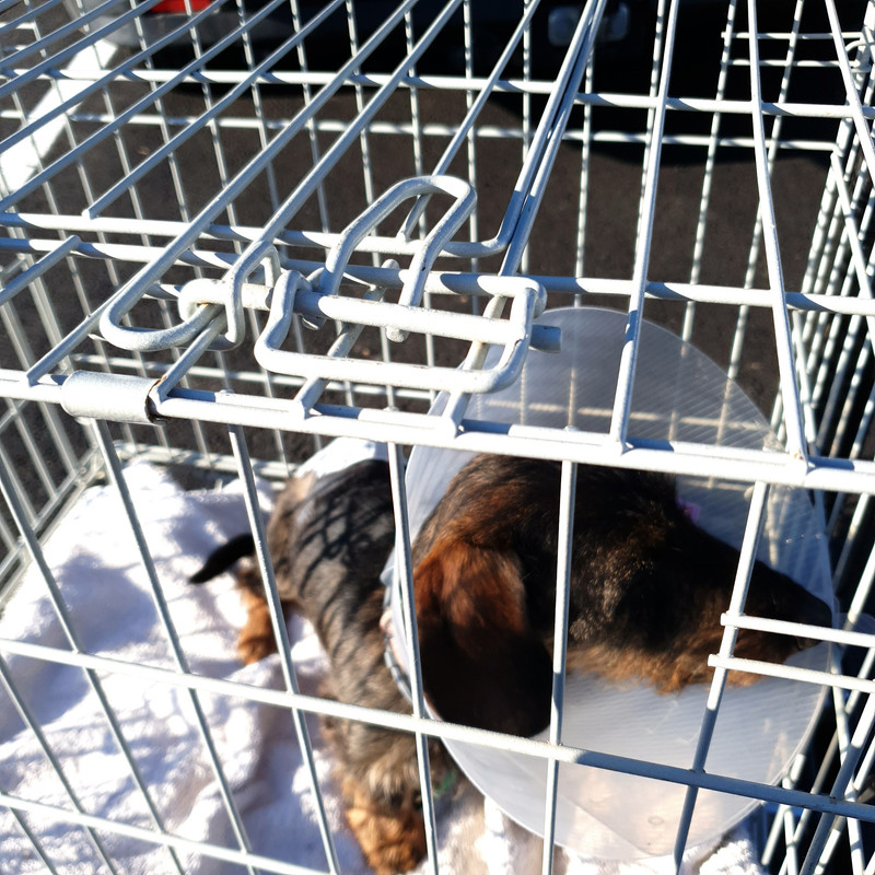 [Image: 20210906-182541.jpg]