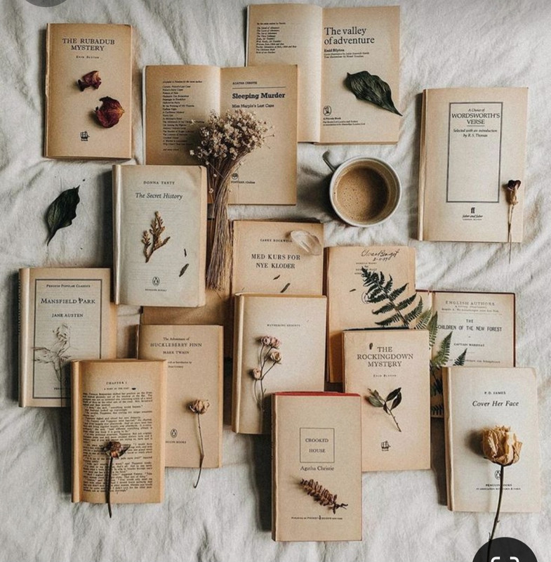 Screenshot_20240608_071746_Pinterest