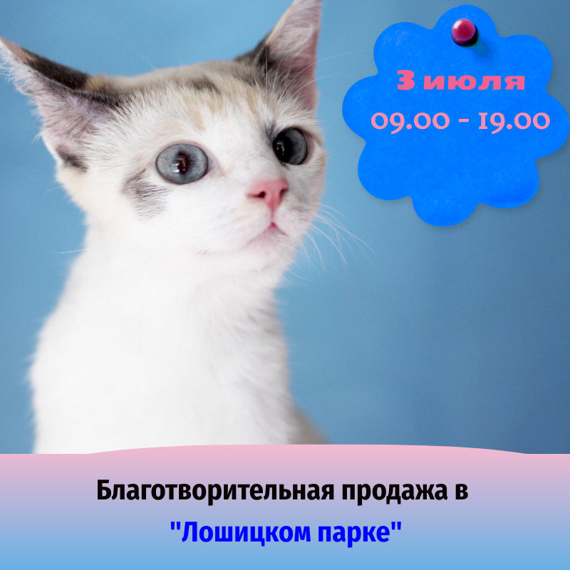 Публикация для соцсетей 800x800  пикс (2)