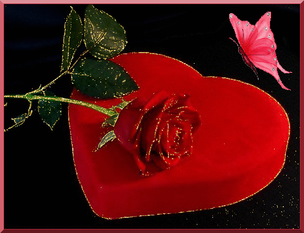 ���� ���� ������ �� ���� ������