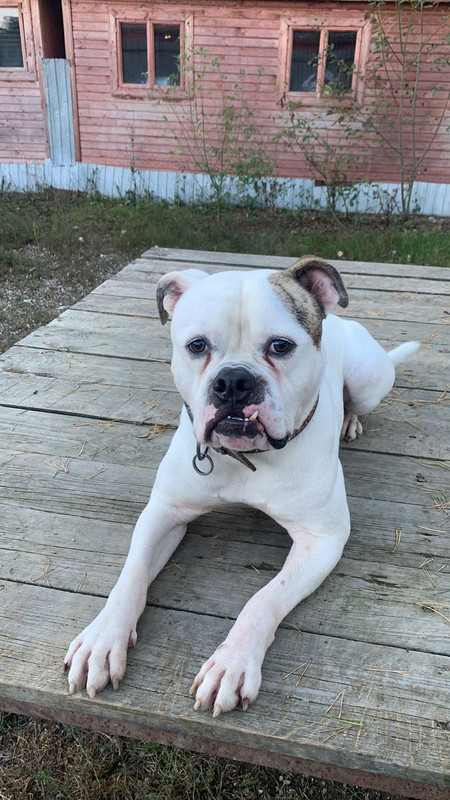 ECD7449F-8D35-4B55-870D-CF1251770A54