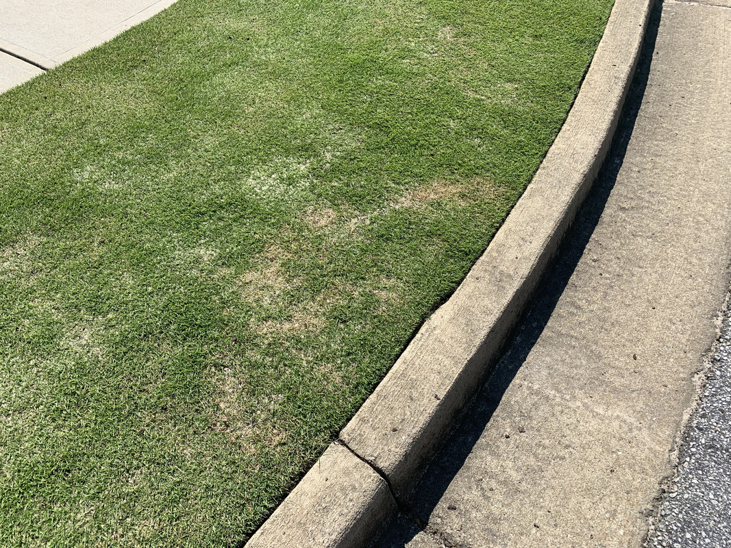 0C2F60E4-5C5B-4769-84C7-EA74B1CFD5C3