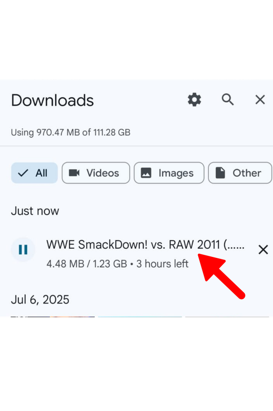 Screenshot of successful download