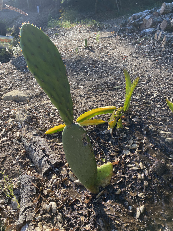 B4C49C70-5EA0-44EA-A8C0-8C4FED4F859A