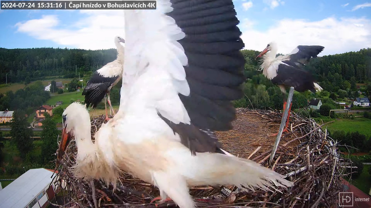 Tiešraidē no uzņēmuma KARA stārķa skursteņa Bohuslavicē pie Trutnovas 11-58-30 screenshot