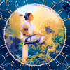 swros-reymeditate-56