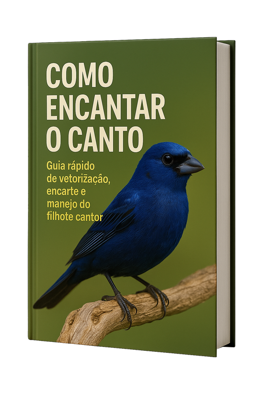 Como Encantar o Canto