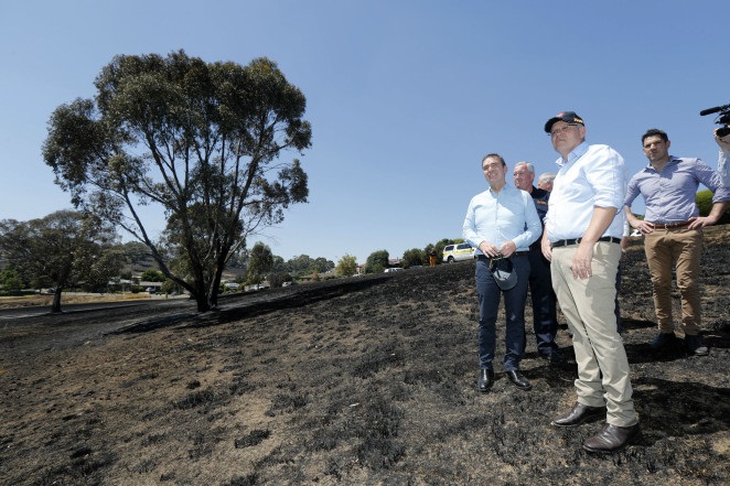 ScoMo shines in NewsPoll Ap-19358194268253