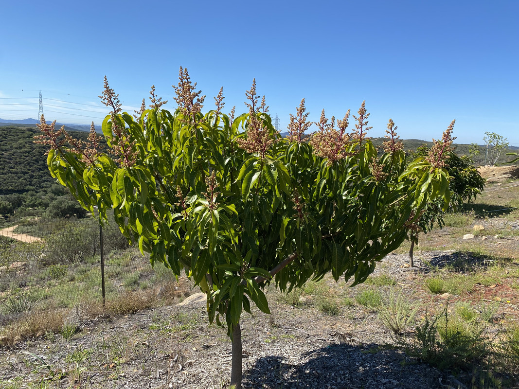 8F9F4DEC-A8FB-47E3-B70D-1358460B0787