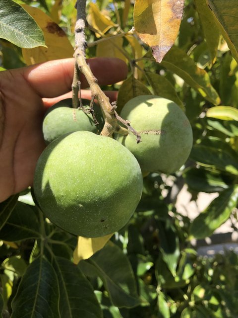 51CC1B2C-3D9D-4440-BD49-515E5B96E6E2