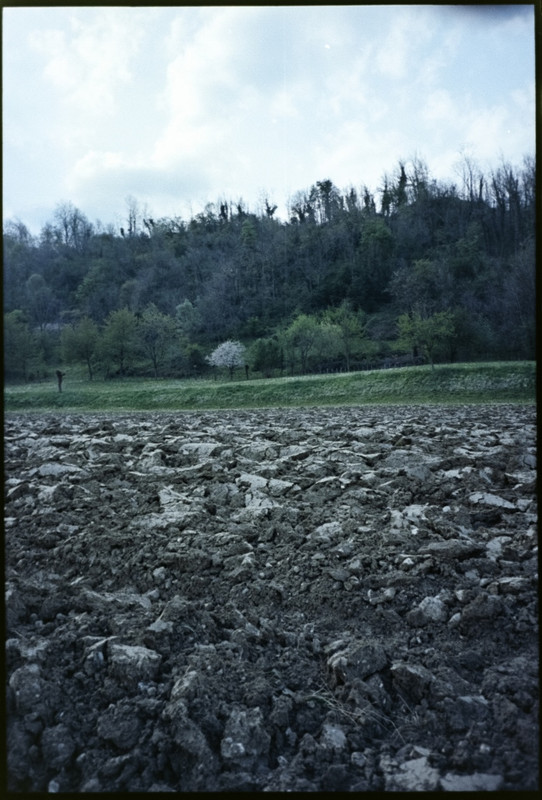 Leica Mini III_26apr2021_06 (694x1024)