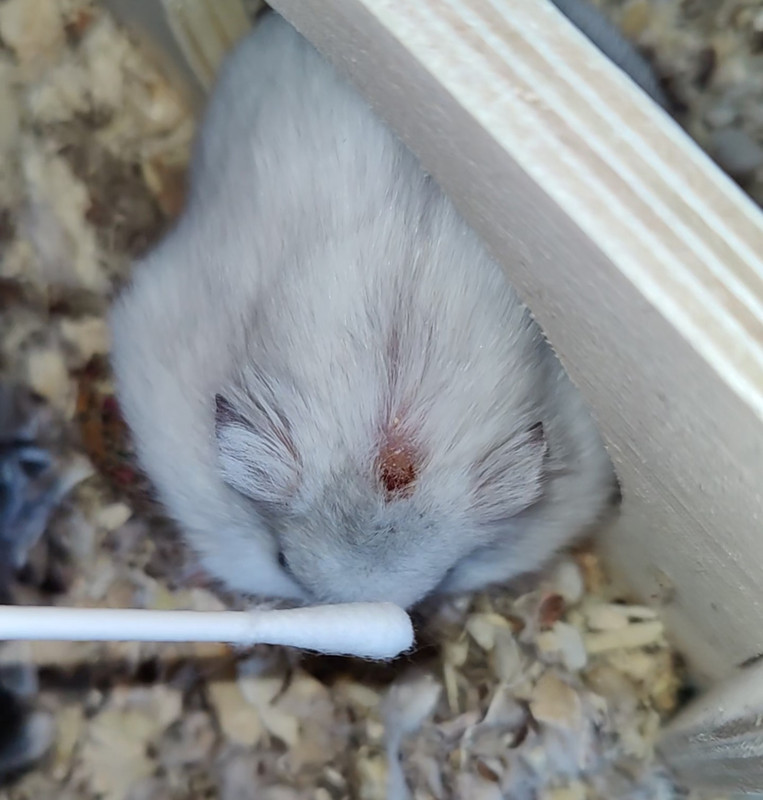 Screenshot_2025-02-16-14-38-36-73_965bbf4d18d205f782c6b8409c5773a4