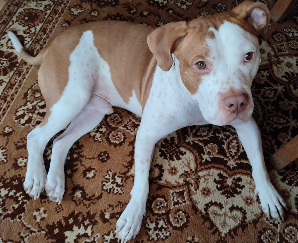 6155CE71-7CC0-4480-B73E-F6465E326DE1