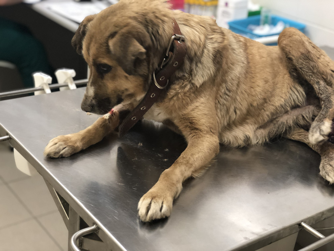 EAD71EAC-E927-43F7-960B-9B9D88422447