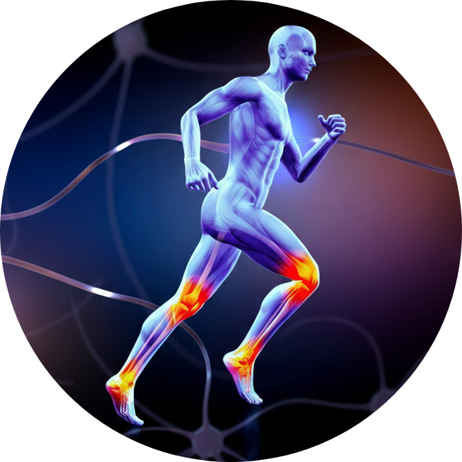 Croissance Bevidsthed