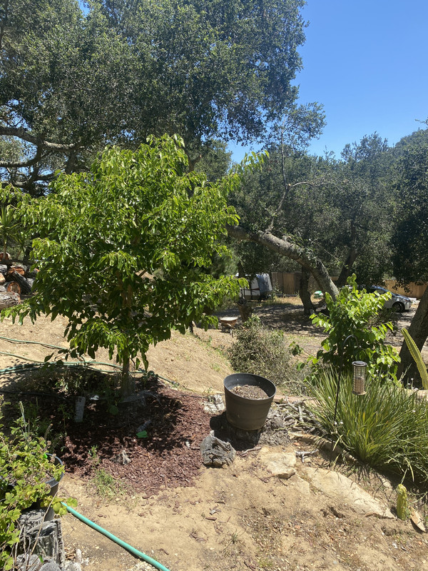 74928A4D-EA01-4860-B0EA-CAEFFCBC3A6E