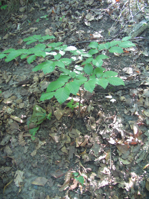 21 Июля 2024 023