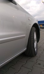 IMAG0824
