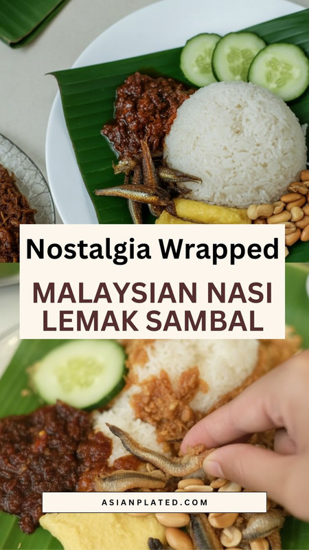 Malaysian Nasi Lemak Sambal A Spicy Flavor Packed Staple of Malay Food