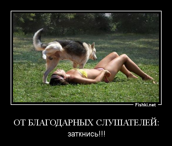 https://i.postimg.cc/qRHf9KBv/413165e2a9d511b4a31fd6eba44917fd.jpg