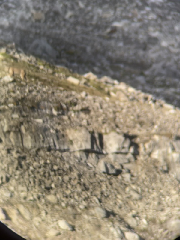IMG 7691