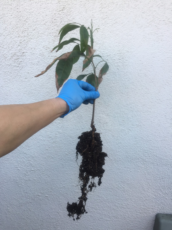 A9A5AEC6-7D65-446A-8947-45B5E98E2209