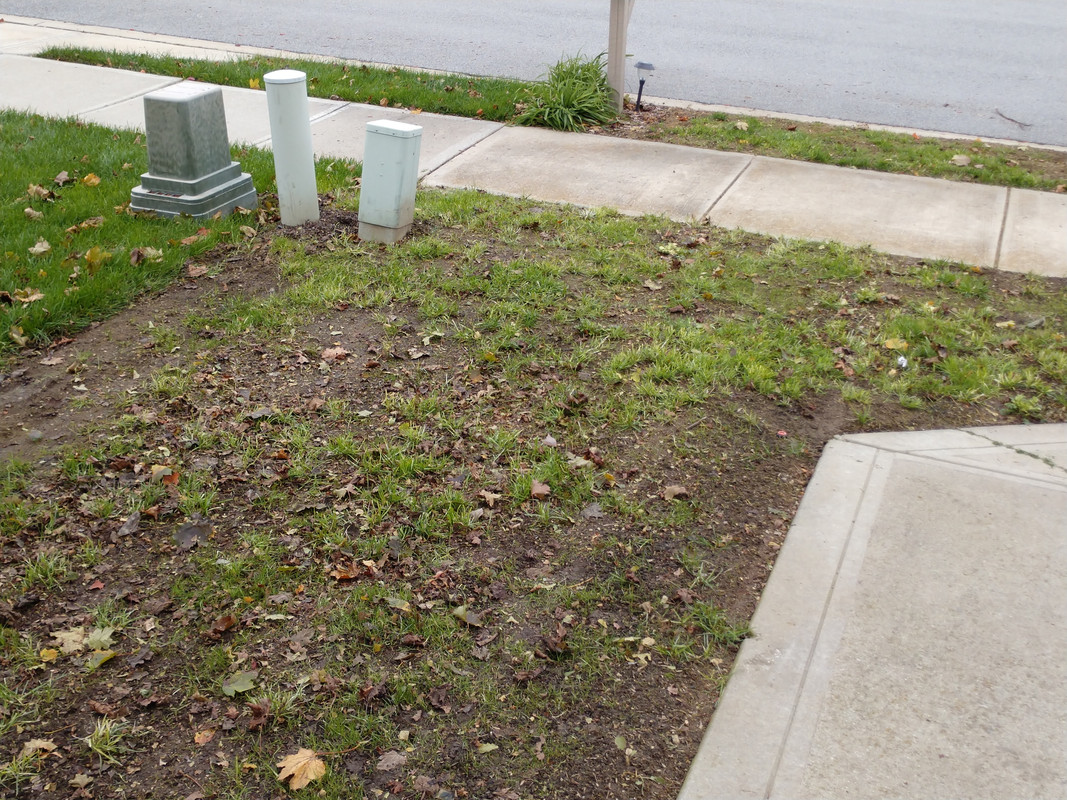 IMG_20171029_124755838