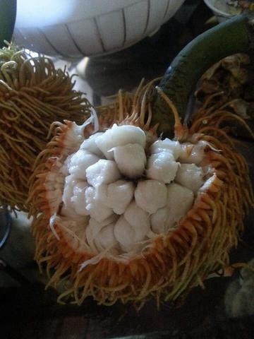 10426731_761804497173448_5428720810138593933_n