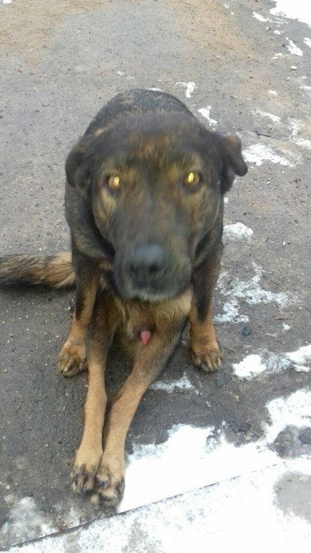 81B0C110-662C-45CB-AF59-0DFBEACED74F