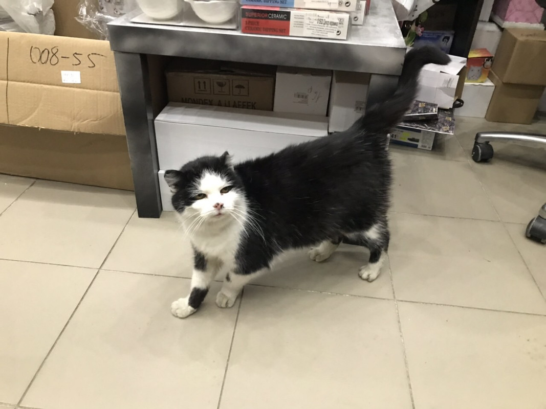 32ED4EF1-BAFA-43C3-91FB-4A22D25787EE