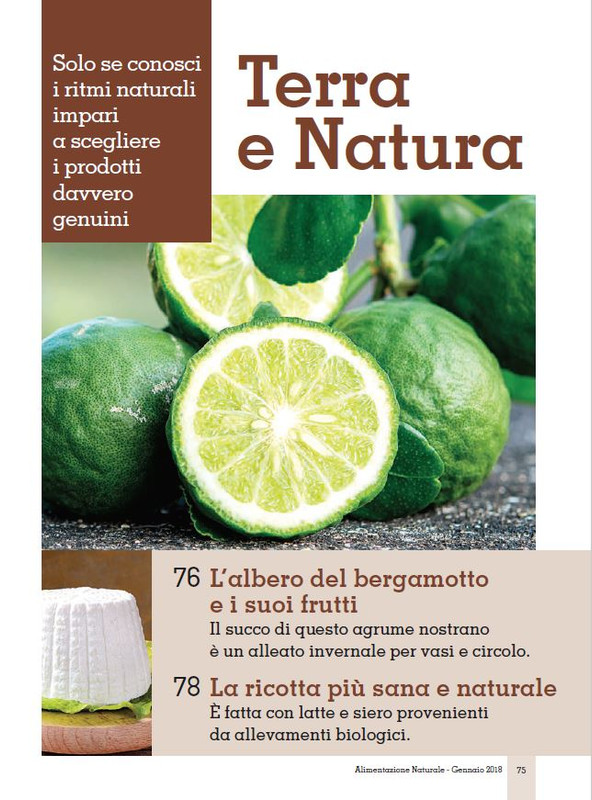 Alim Nat Gen 2018 (11)