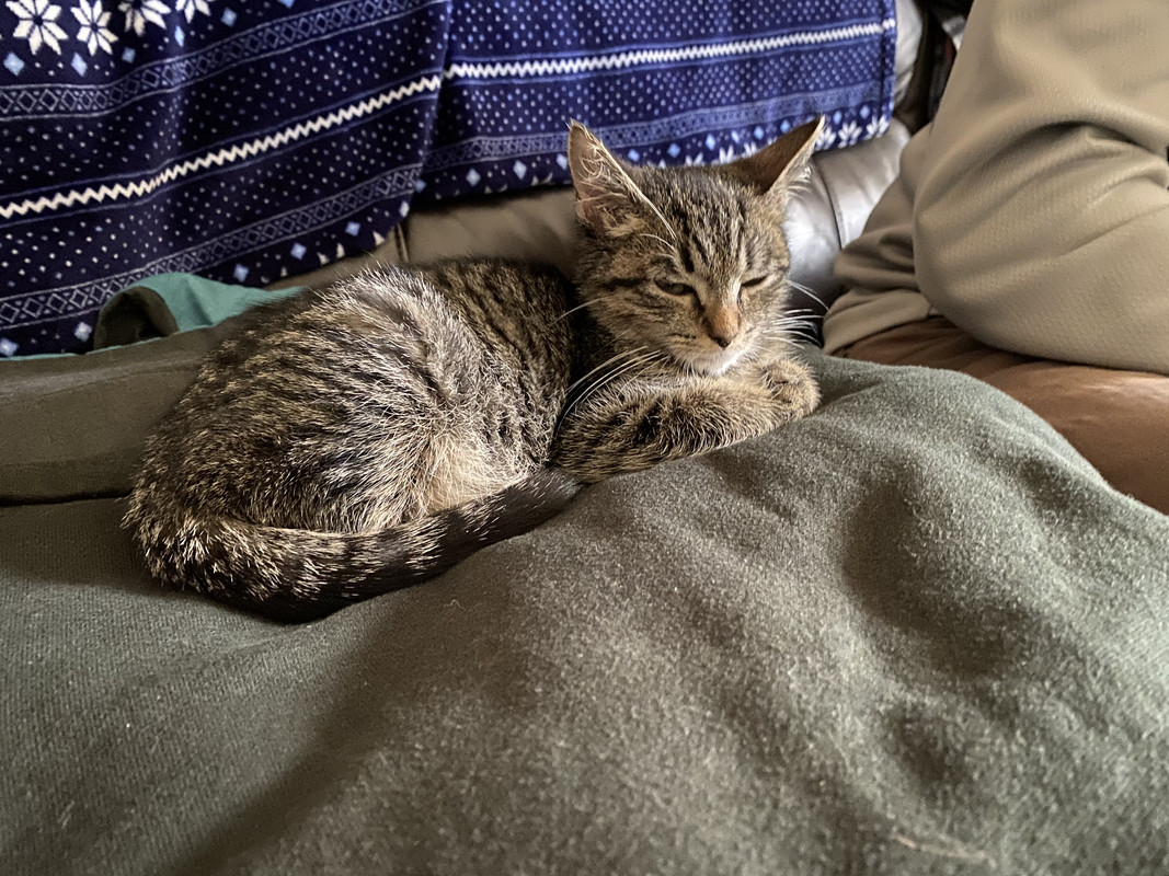 6F3D2792-9AB2-4318-A64A-7206F2F13740