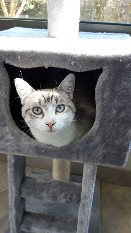 received_604432908193745