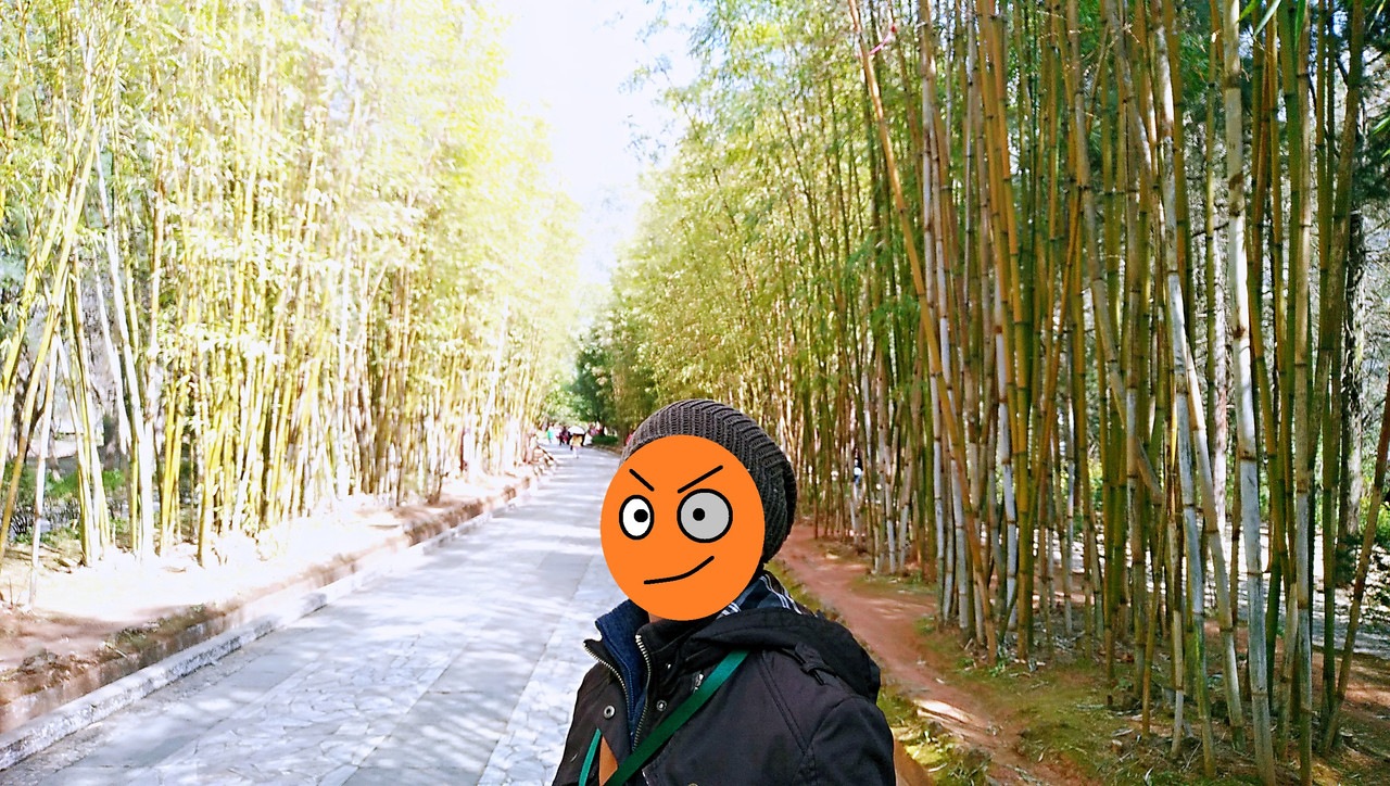 IMG_20160304_115158_副本