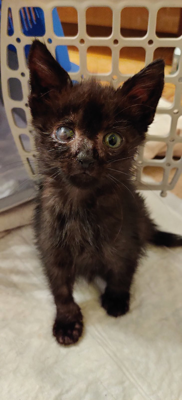 изображение_viber_2020-10-22_20-43-15