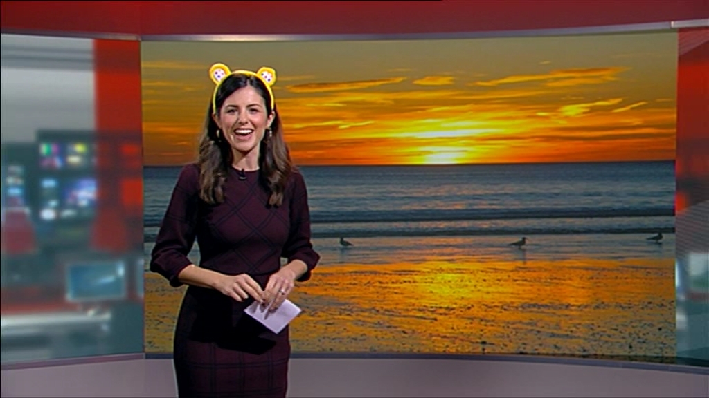 11.19 - 18.30.00 - Look North (Yorkshire) The latest news, sport and ....mts_snapshot_23.53.862