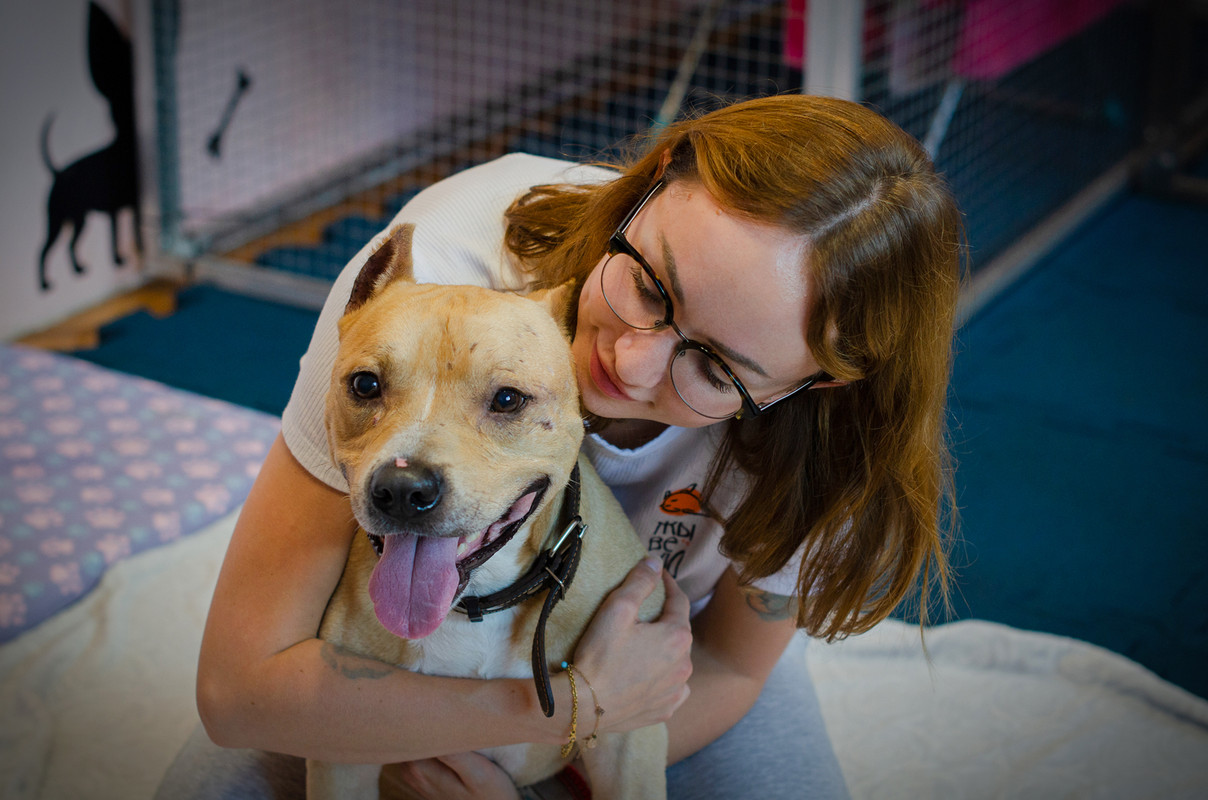 6E5AE5D3-6C2D-4E86-A43B-0767A7DA3EFC