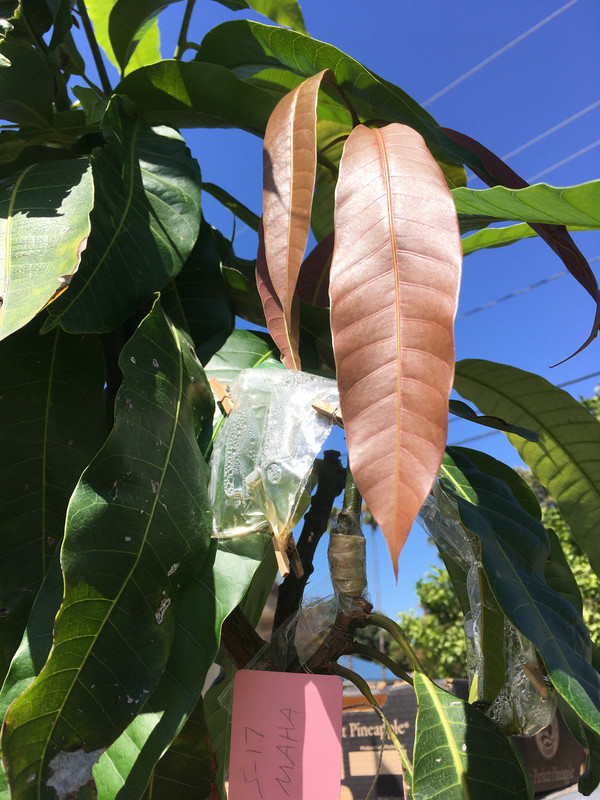 49944910-E427-40E9-BC77-21A46BC83666