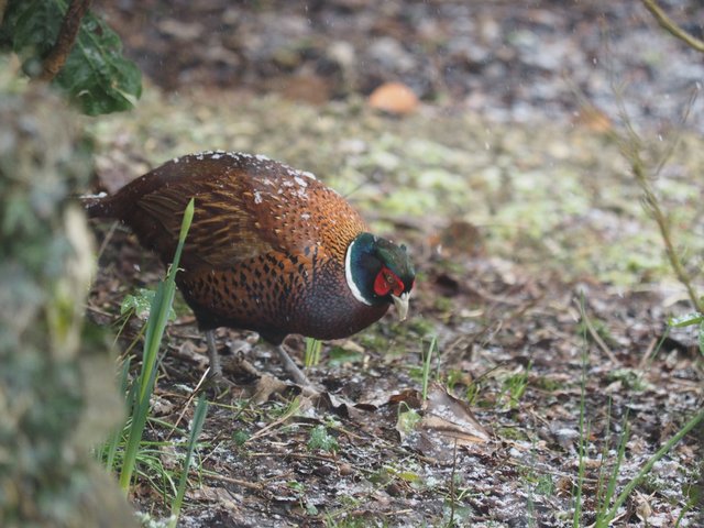 4462AC95-3A69-4CB5-ACE6-099F71495003