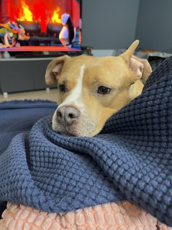 0D6D9239-14FC-4D94-8BDC-203C18BB15ED